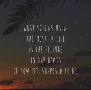 Meet your Posher, Paula